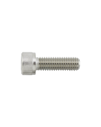 SCREW,M8-1.25x25, SOC HD CAP, SS