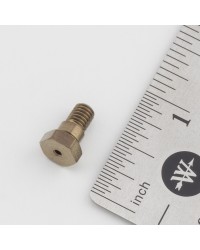 F# 006744-1 - INLET SCREW