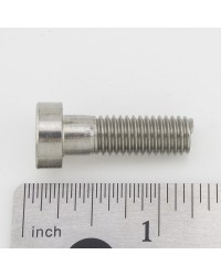 SCREW, M8-1.25 x 25 LG,SHC, LOW HEAD, SS