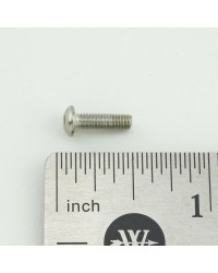 SCREW, M3-.5x10LG, BUTTON HEAD SOCKET CAP, SS