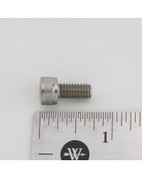 SCREW, M6-1 x 12 LG, SOC HD CAP, 316 SS