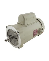 PAINTED ELECTRIC MOTOR