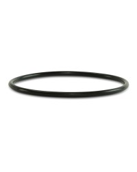 O-Ring for Bronze Backup