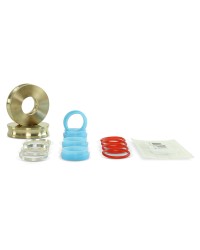 Seal Repair Kit with Bronze Backups