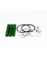 AccuValve Actuator Repair Kit