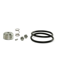 Check Valve Repair Kit